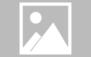 余姚龙江乐从网站建设（乐从和龙江）